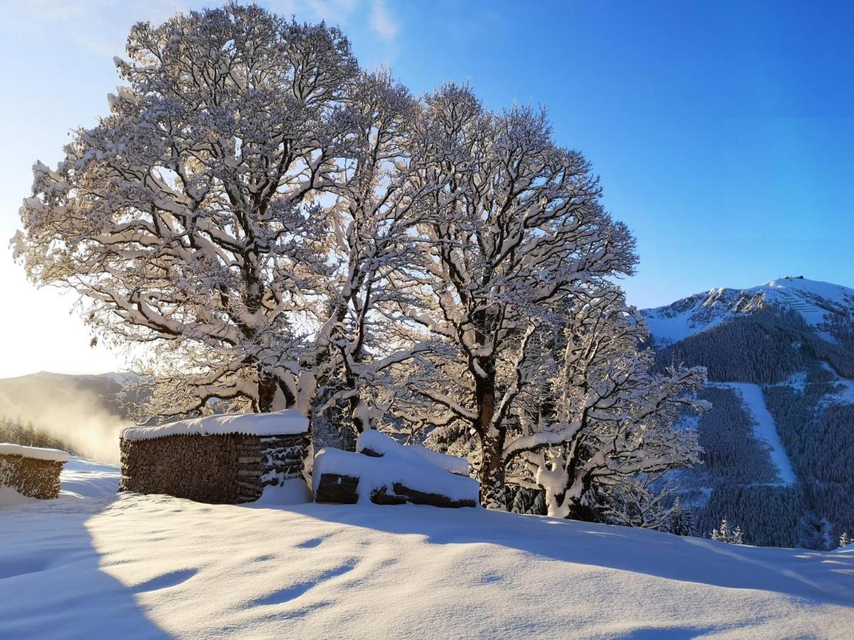 Sinnlehen Alm Saalbach-Hinterglemm Exterior photo